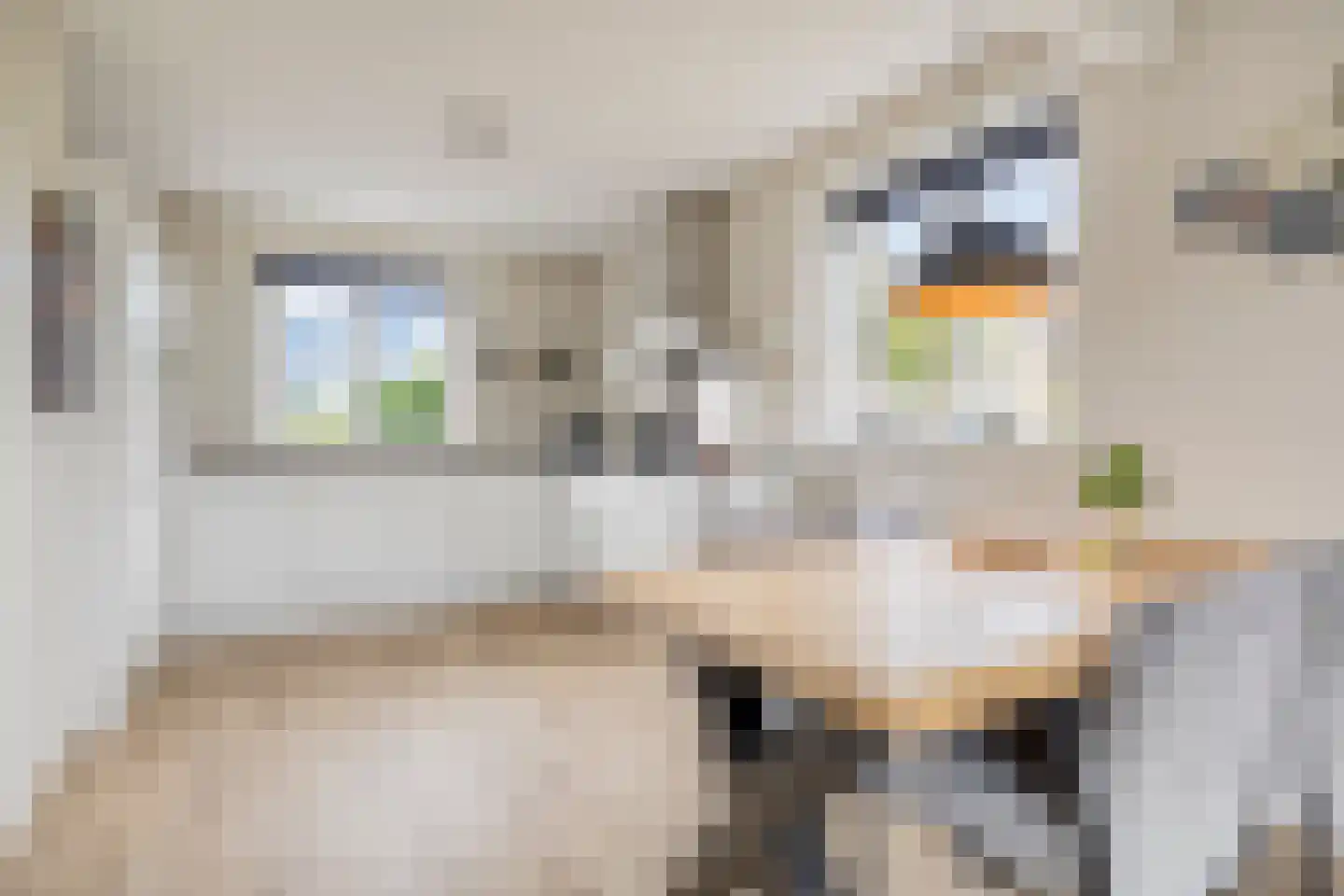 Schoonrijder 13 Sappemeer thumbnail 10