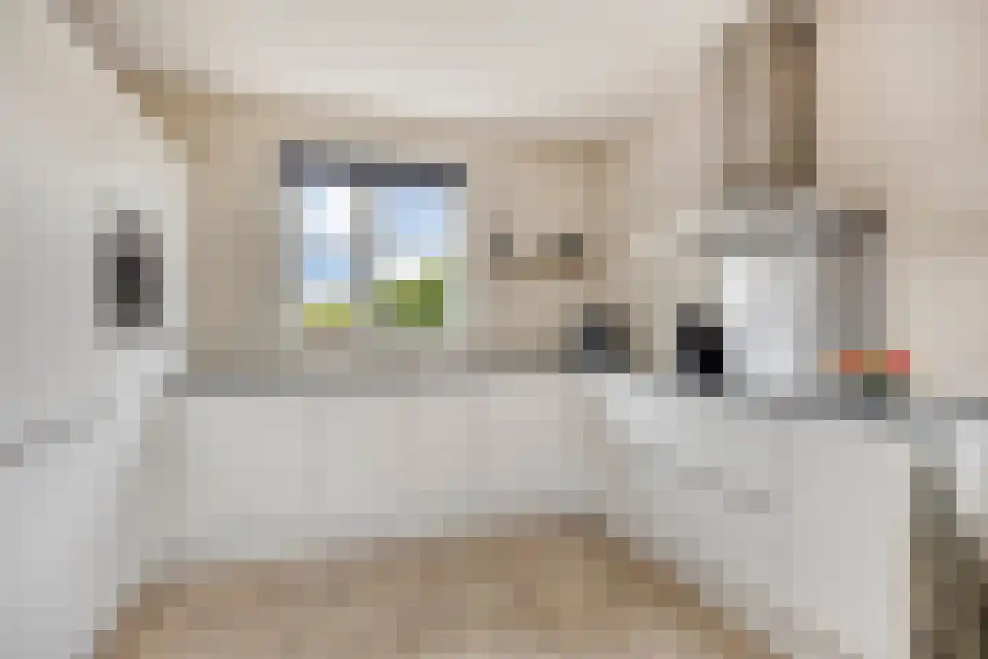 Schoonrijder 13 Sappemeer thumbnail 11