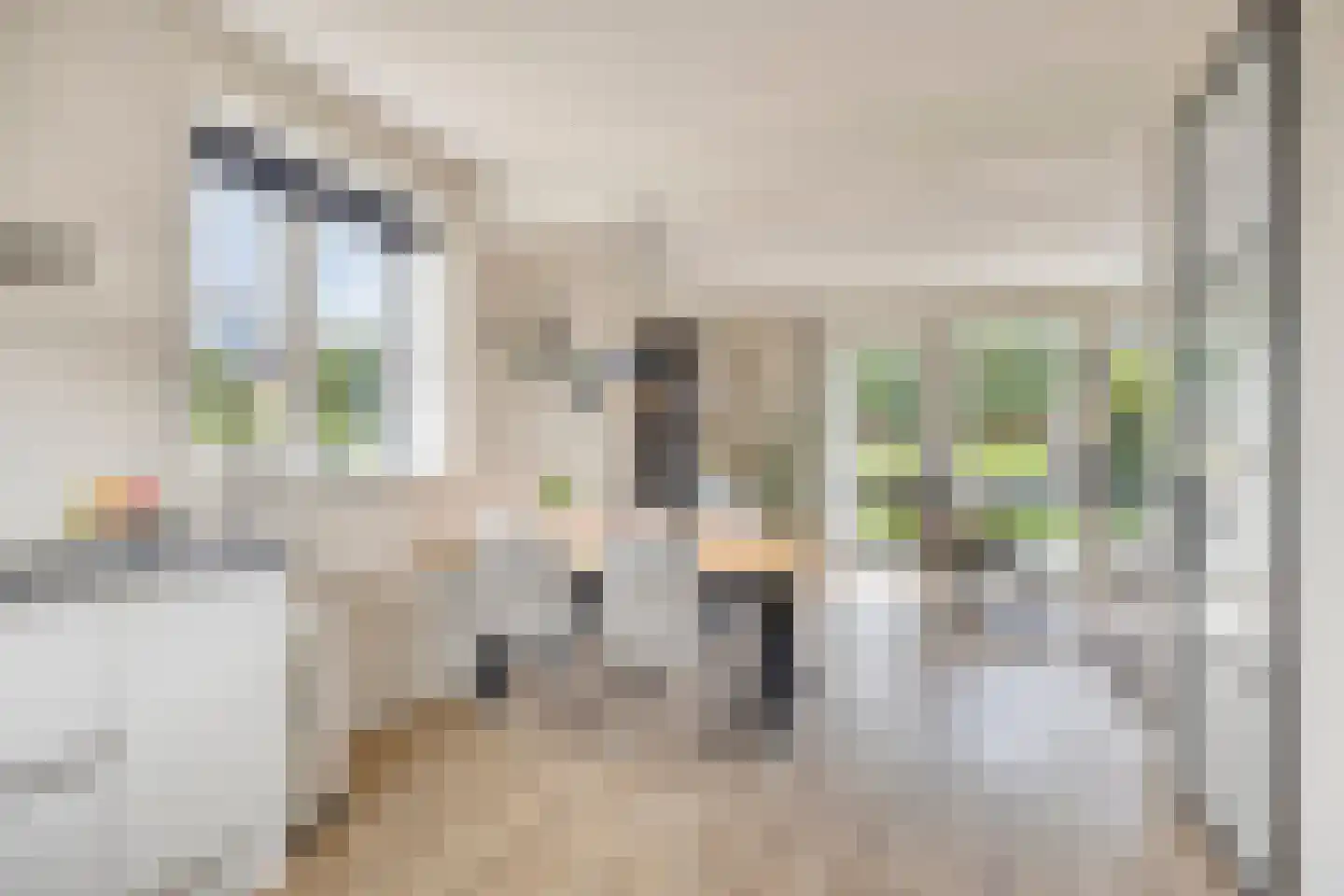 Schoonrijder 13 Sappemeer thumbnail 12