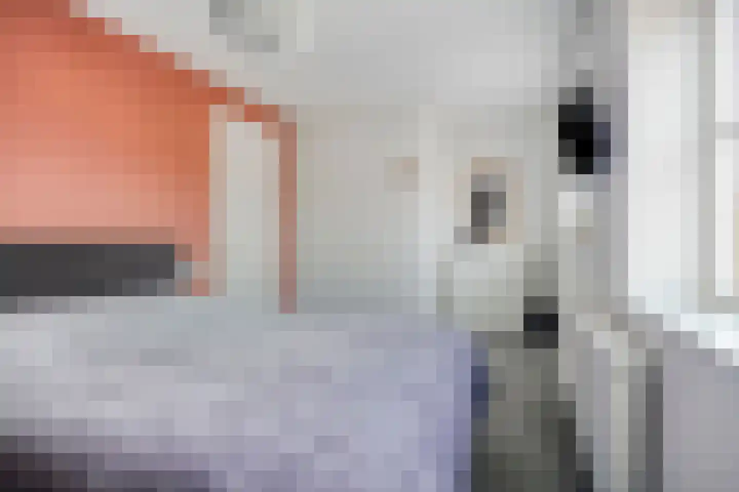 Schoonrijder 13 Sappemeer thumbnail 16