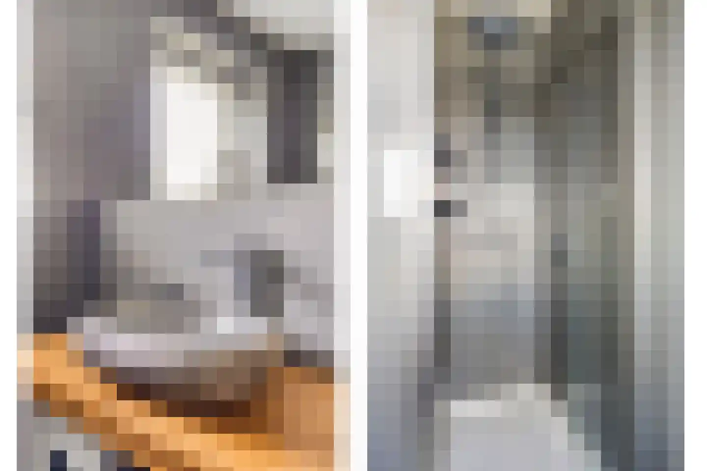 Schoonrijder 13 Sappemeer thumbnail 19