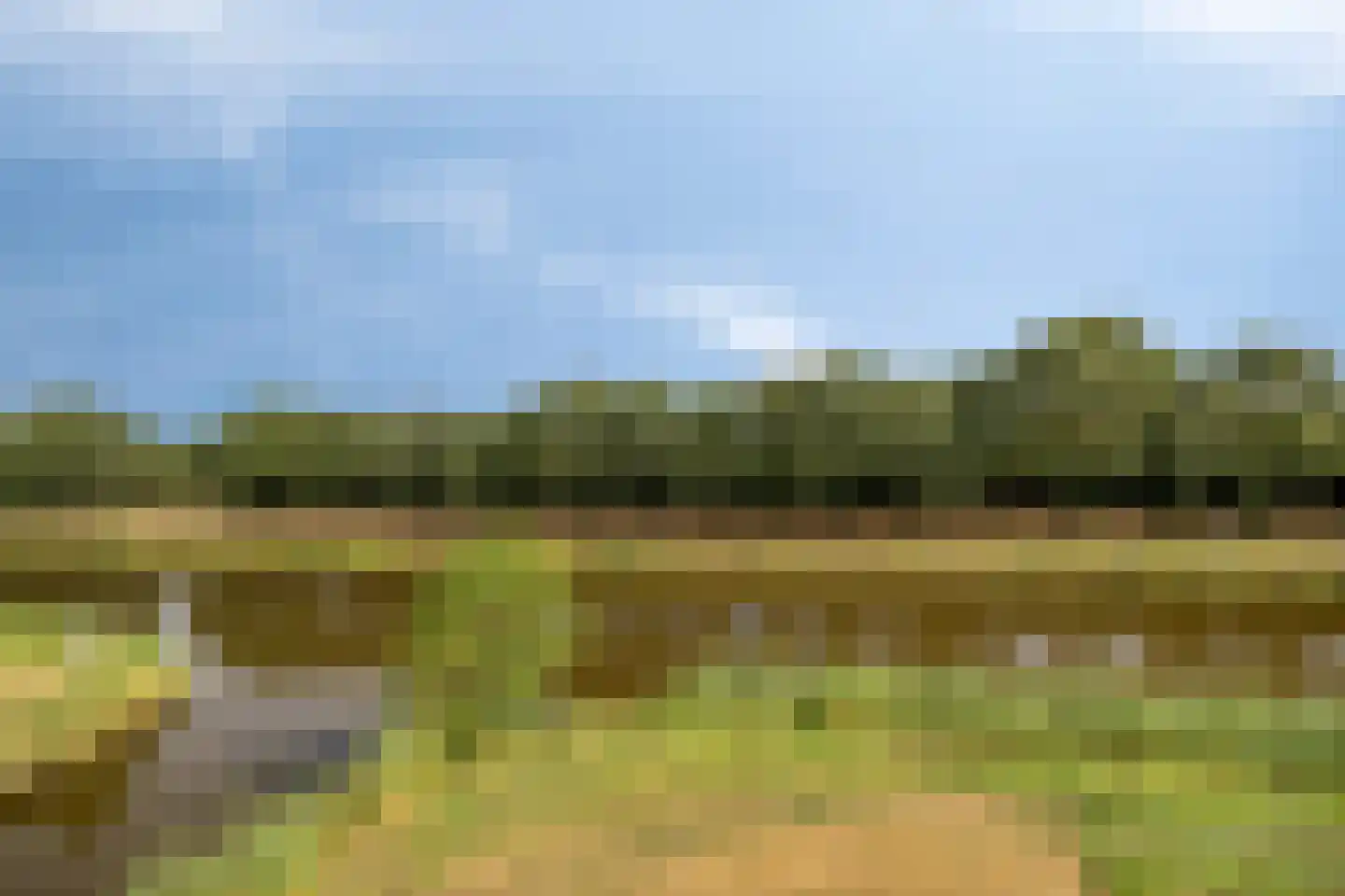Schoonrijder 13 Sappemeer thumbnail 25