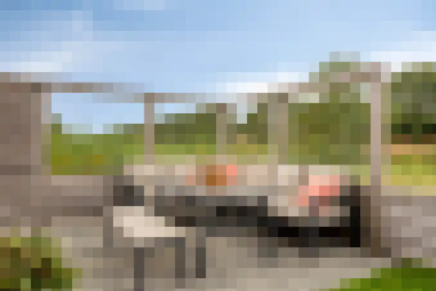 Schoonrijder 13 Sappemeer thumbnail 29