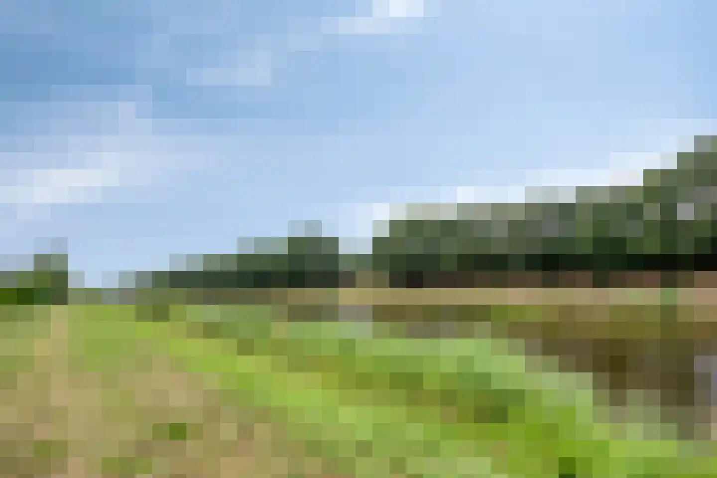Schoonrijder 13 Sappemeer thumbnail 35