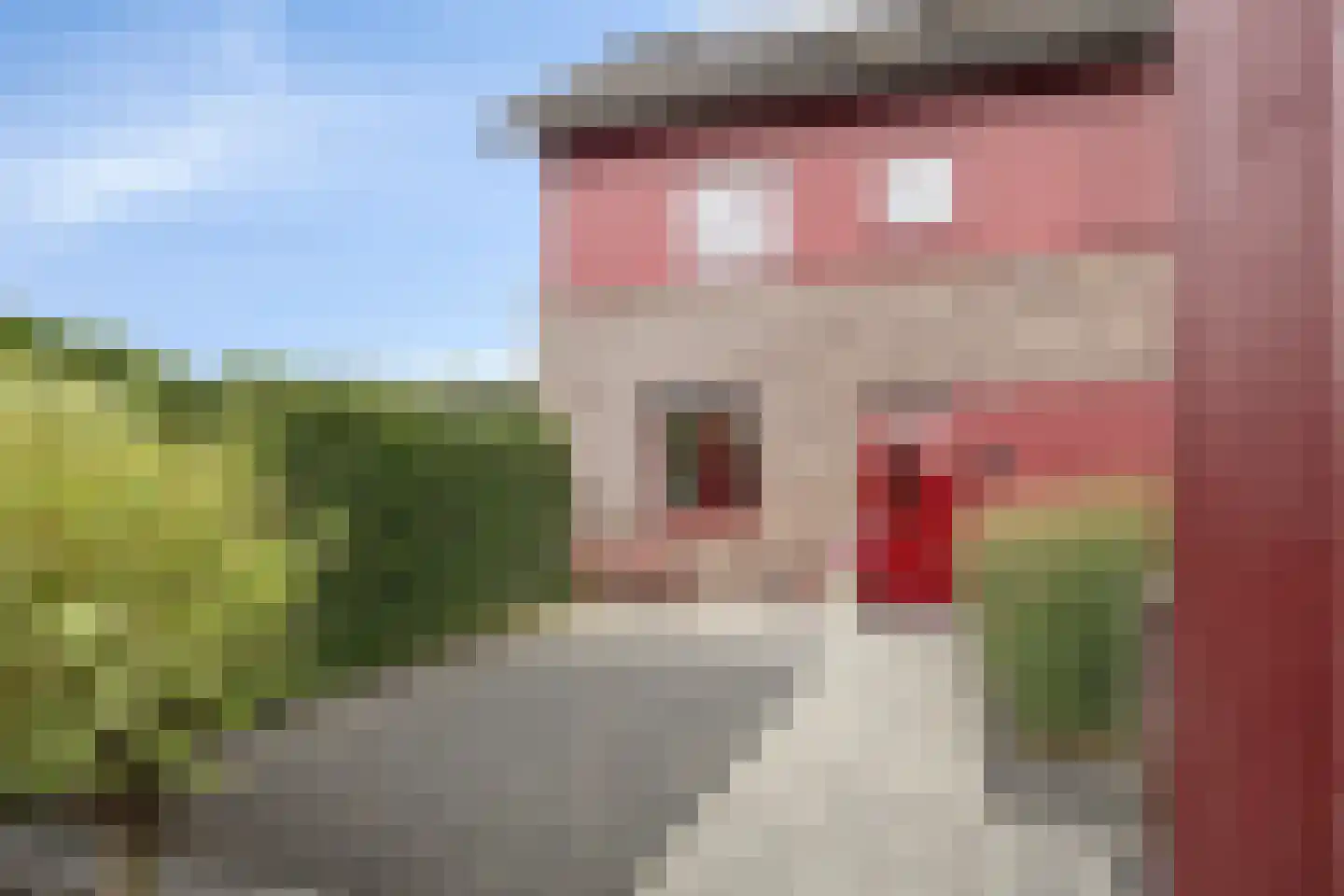 Schoonrijder 13 Sappemeer thumbnail 39