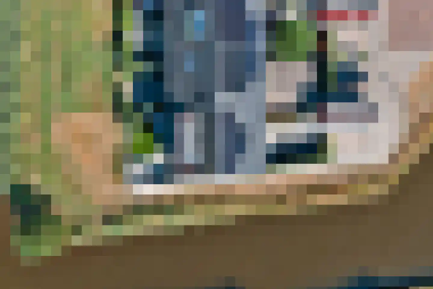 Schoonrijder 13 Sappemeer thumbnail 46