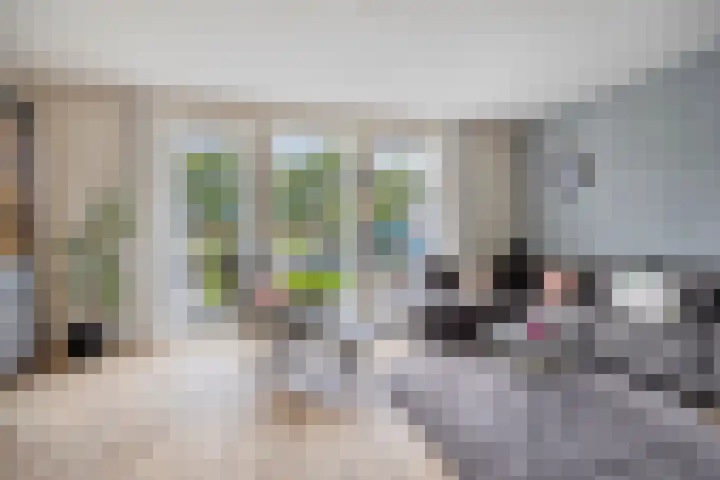Schoonrijder 13 Sappemeer thumbnail 5
