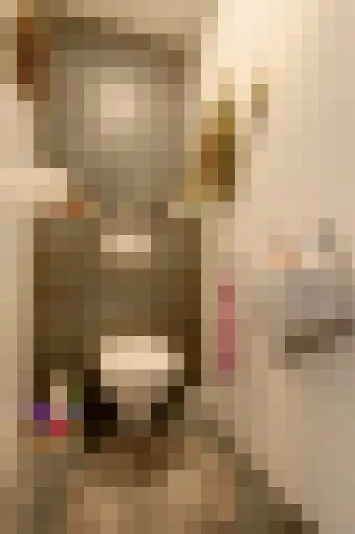 Schoonrijder 20 Sappemeer thumbnail 28
