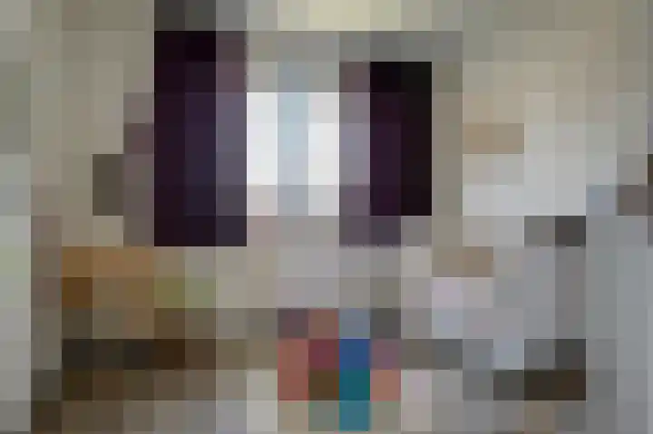 Schoonrijder 20 Sappemeer thumbnail 32
