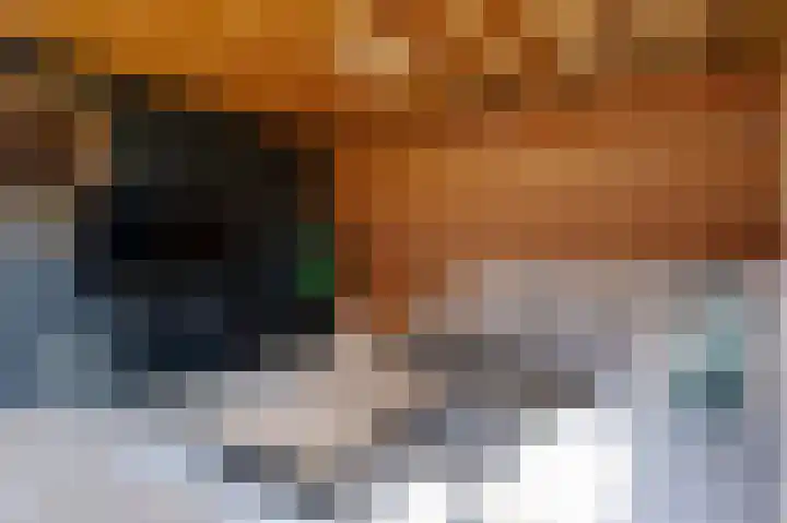 Schoonrijder 24 Sappemeer thumbnail 17