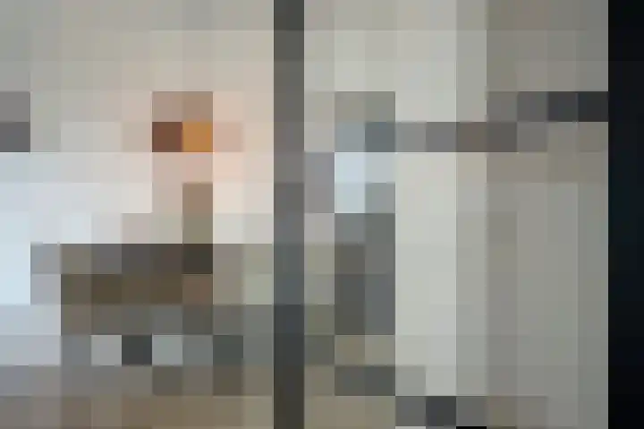 Schoonrijder 24 Sappemeer thumbnail 22