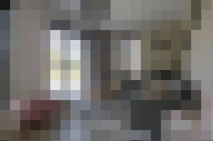 Schoonrijder 24 Sappemeer thumbnail 24
