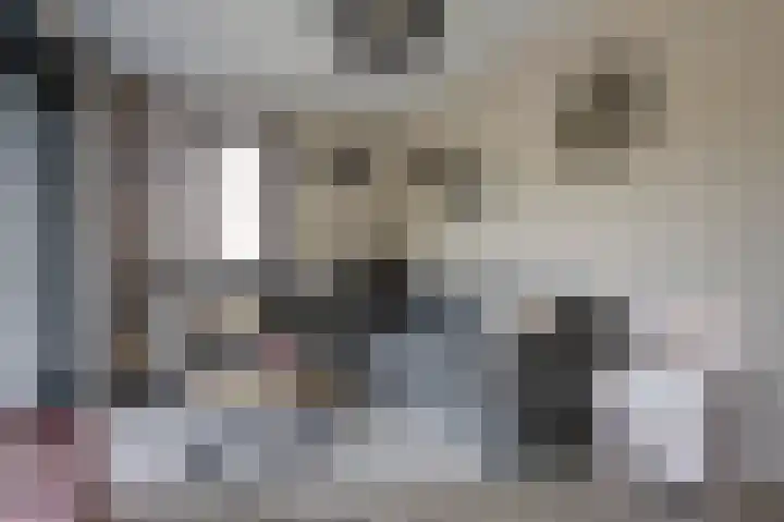 Schoonrijder 24 Sappemeer thumbnail 25