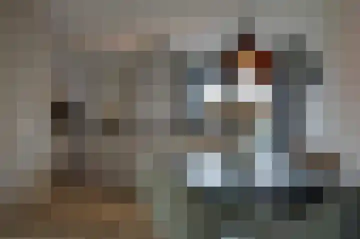 Schoonrijder 24 Sappemeer thumbnail 27