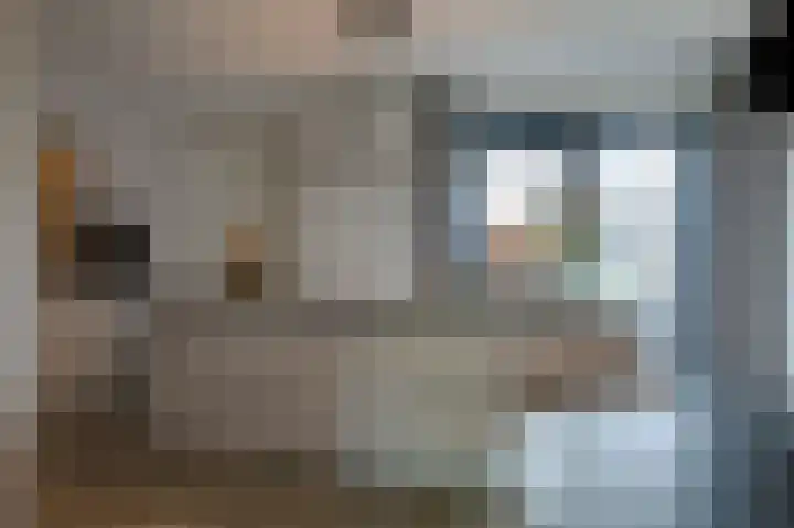 Schoonrijder 24 Sappemeer thumbnail 28