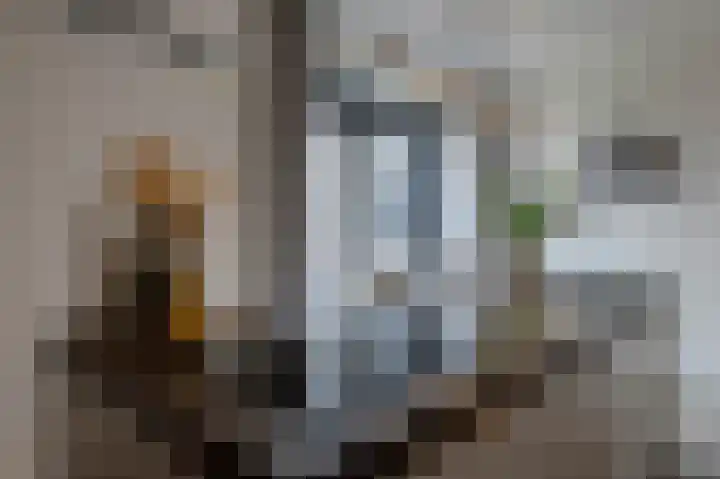 Schoonrijder 24 Sappemeer thumbnail 32
