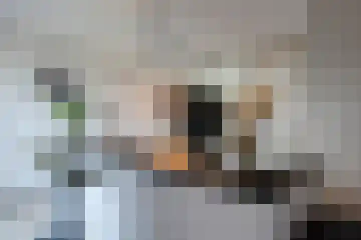 Schoonrijder 24 Sappemeer thumbnail 34