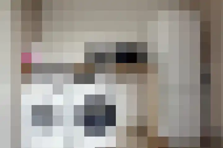 Schoonrijder 24 Sappemeer thumbnail 36