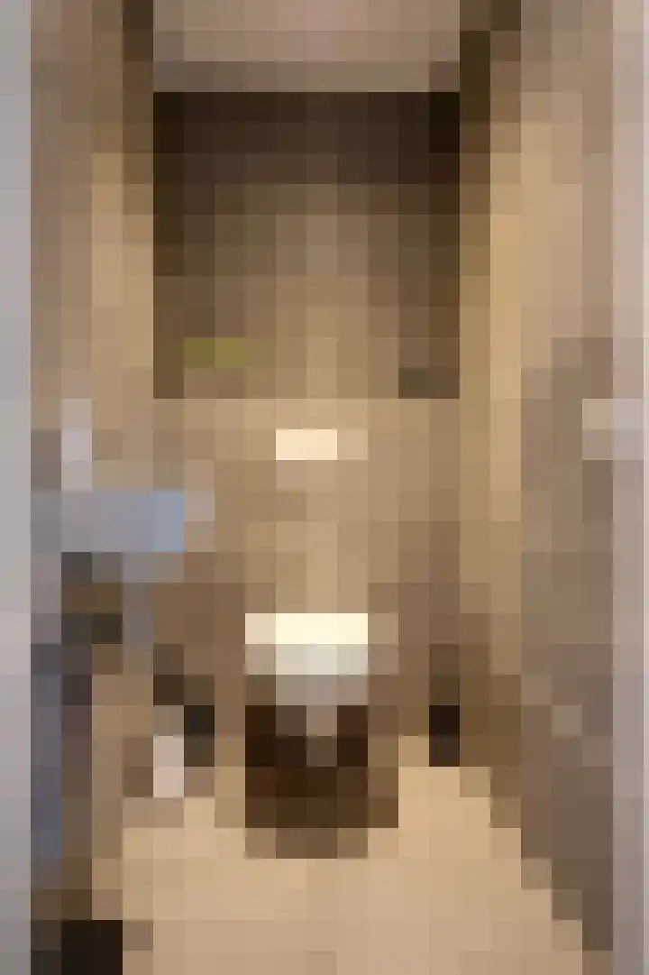 Schoonrijder 24 Sappemeer thumbnail 37