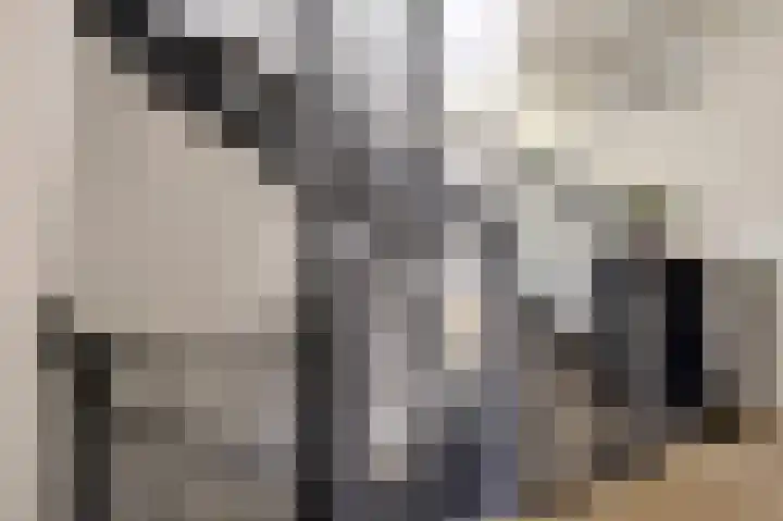 Schoonrijder 24 Sappemeer thumbnail 38