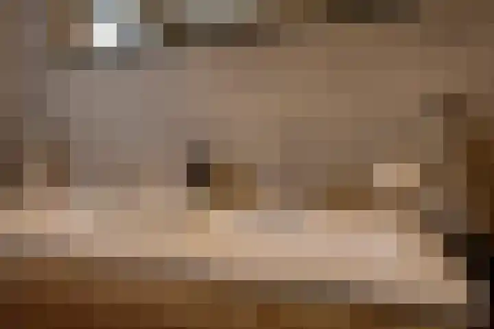 Schoonrijder 24 Sappemeer thumbnail 45