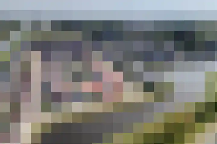 Schoonrijder 24 Sappemeer thumbnail 7