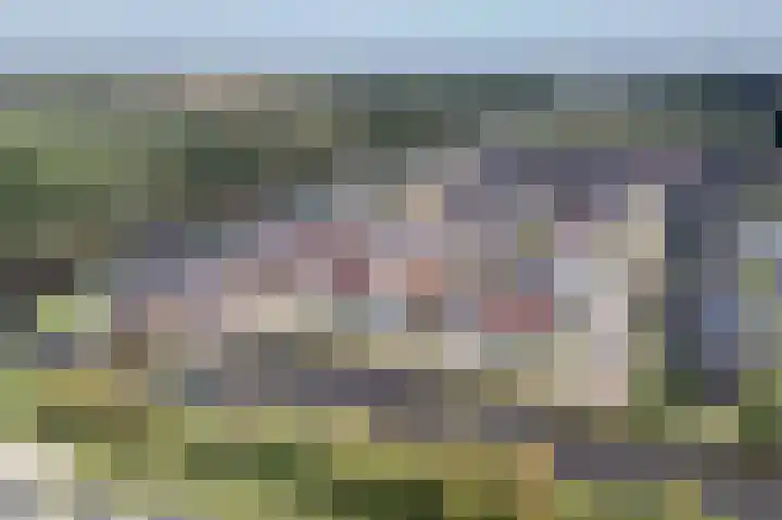 Schoonrijder 24 Sappemeer thumbnail 8