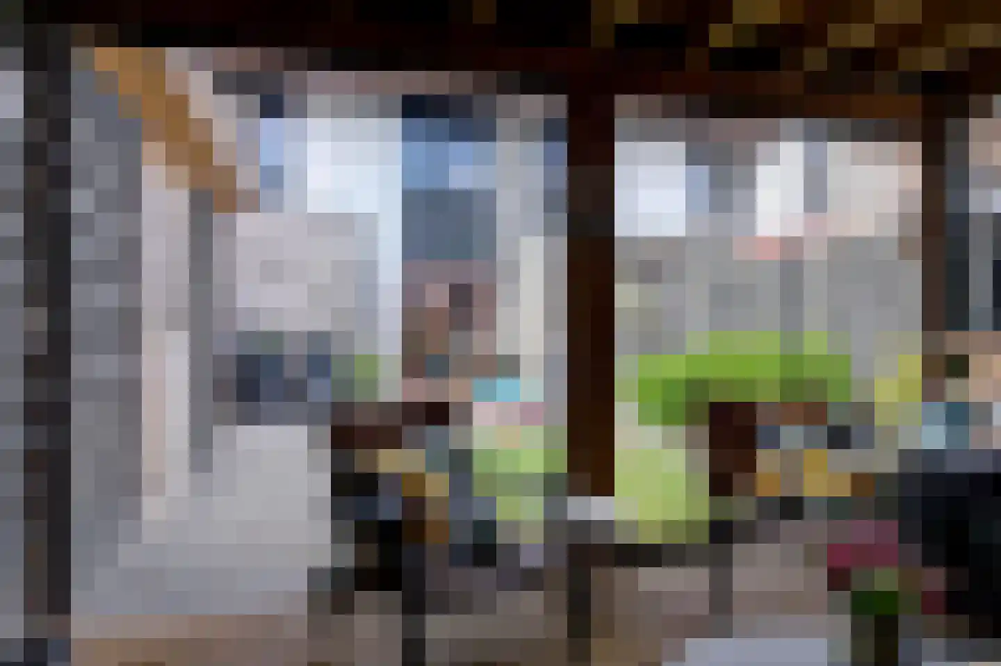 Schoonrijder 26 Sappemeer thumbnail 16