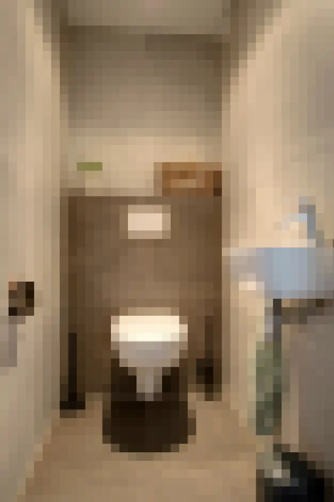Schoonrijder 26 Sappemeer thumbnail 19