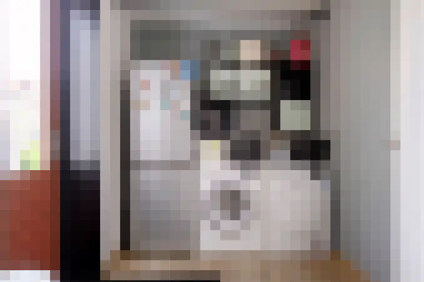 Schoonrijder 26 Sappemeer thumbnail 30