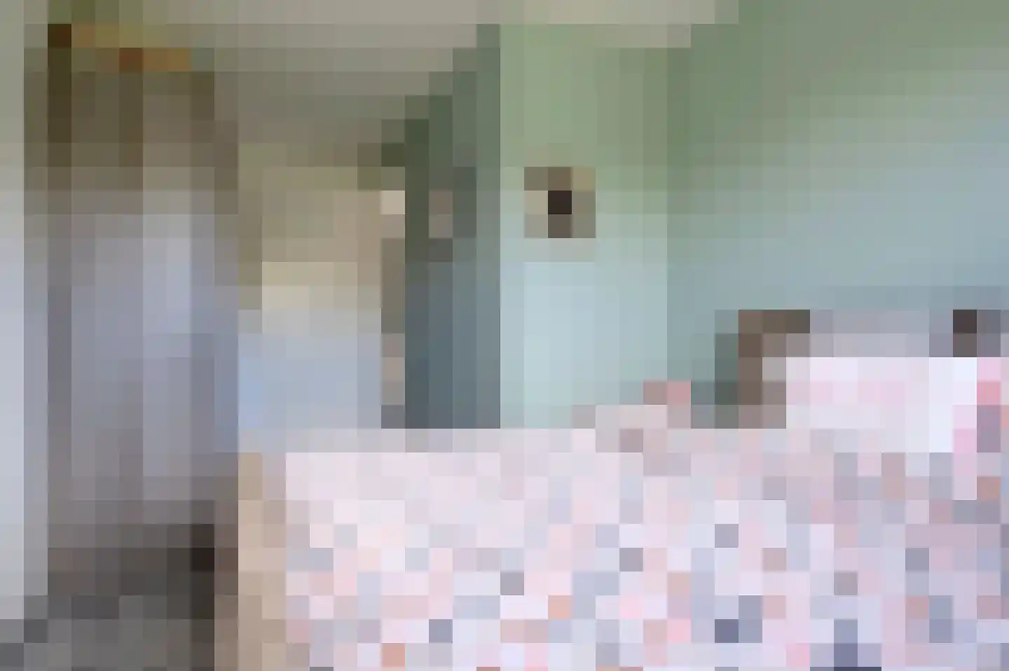 Schoonrijder 26 Sappemeer thumbnail 33