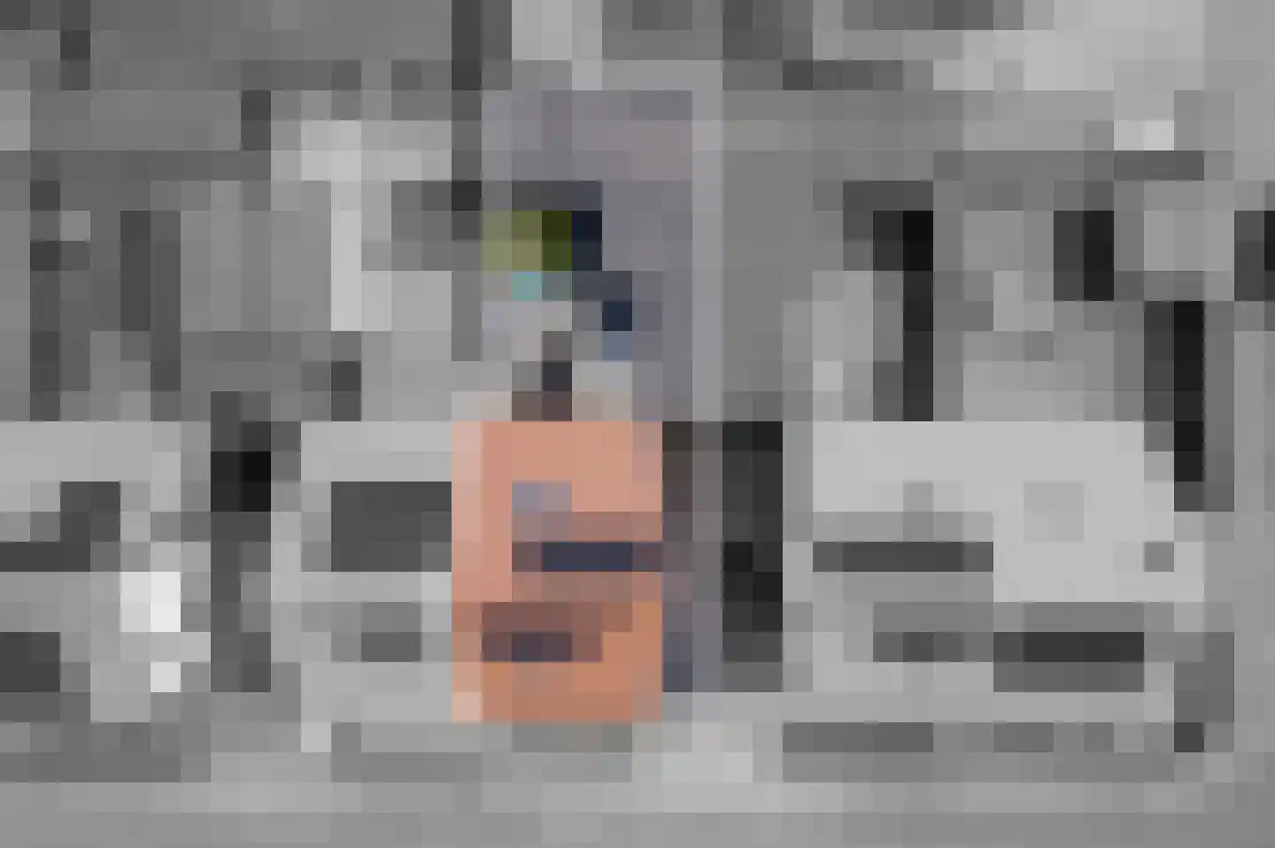 Schoonrijder 26 Sappemeer thumbnail 4
