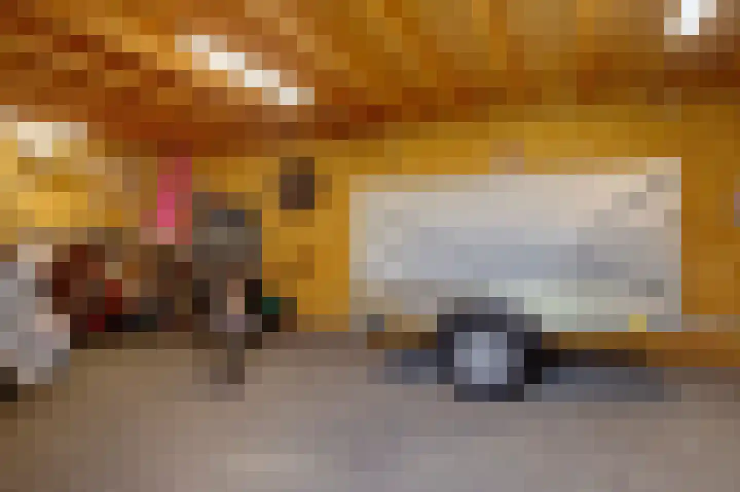 Schoonrijder 26 Sappemeer thumbnail 41