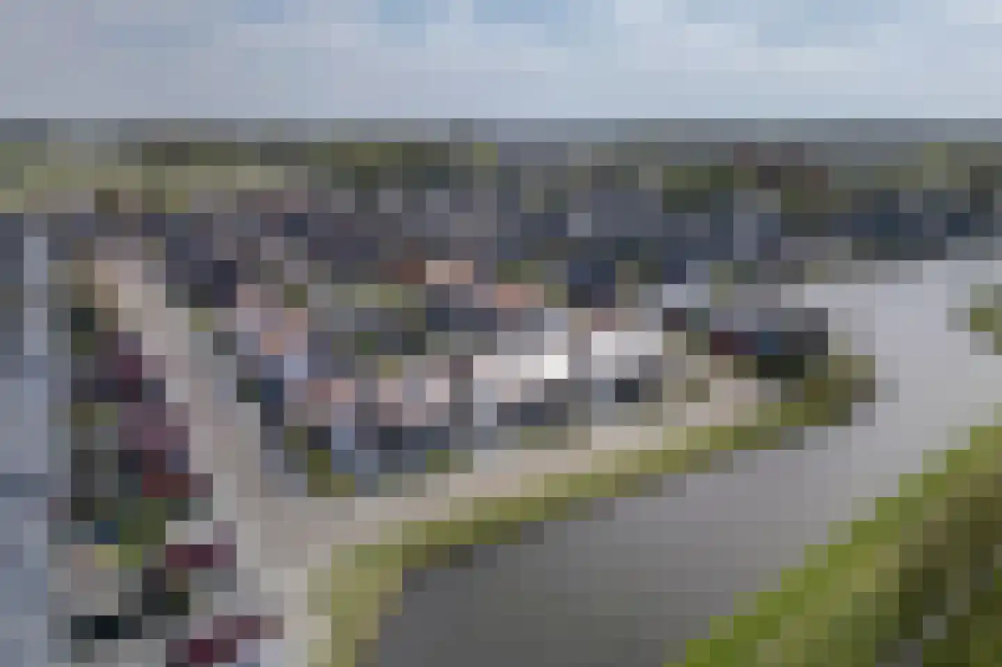Schoonrijder 26 Sappemeer thumbnail 7