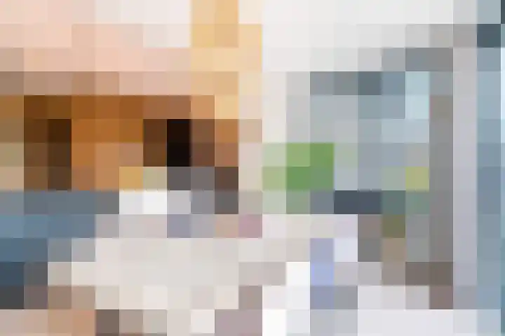 Schoonrijder 28 Sappemeer thumbnail 25