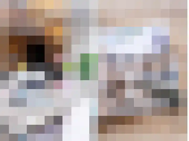 Schoonrijder 28 Sappemeer thumbnail 37