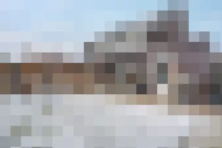 Schoonrijder 44 Sappemeer