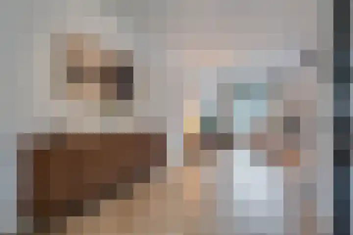 Schoonrijder 44 Sappemeer thumbnail 12
