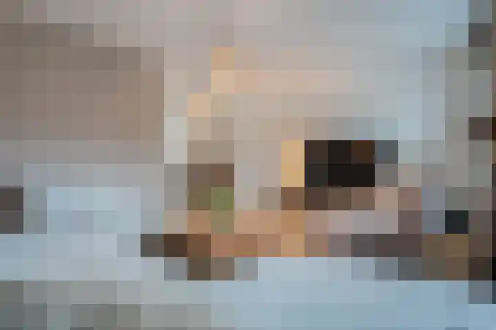 Schoonrijder 44 Sappemeer thumbnail 15