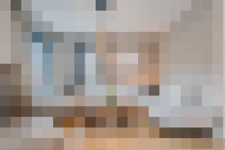 Schoonrijder 44 Sappemeer thumbnail 16