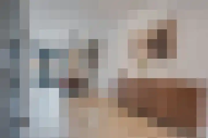 Schoonrijder 44 Sappemeer thumbnail 17