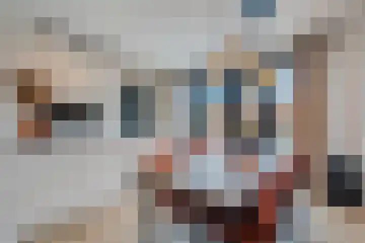 Schoonrijder 44 Sappemeer thumbnail 19