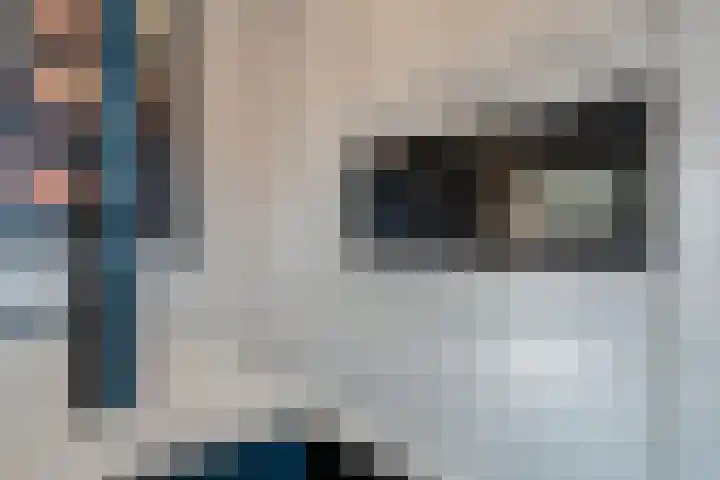 Schoonrijder 44 Sappemeer thumbnail 23