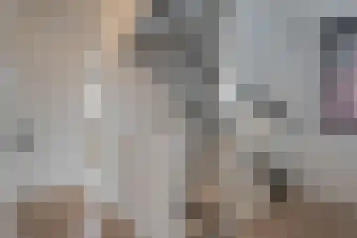 Schoonrijder 44 Sappemeer thumbnail 27