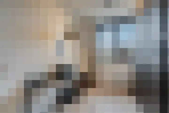 Schoonrijder 44 Sappemeer thumbnail 33