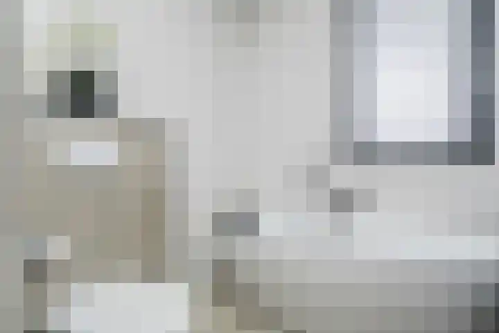 Schoonrijder 44 Sappemeer thumbnail 37