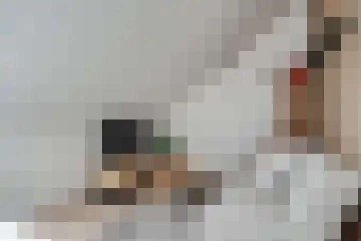 Schoonrijder 44 Sappemeer thumbnail 41