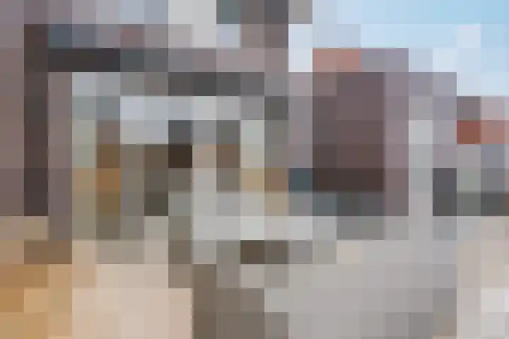 Schoonrijder 44 Sappemeer thumbnail 42