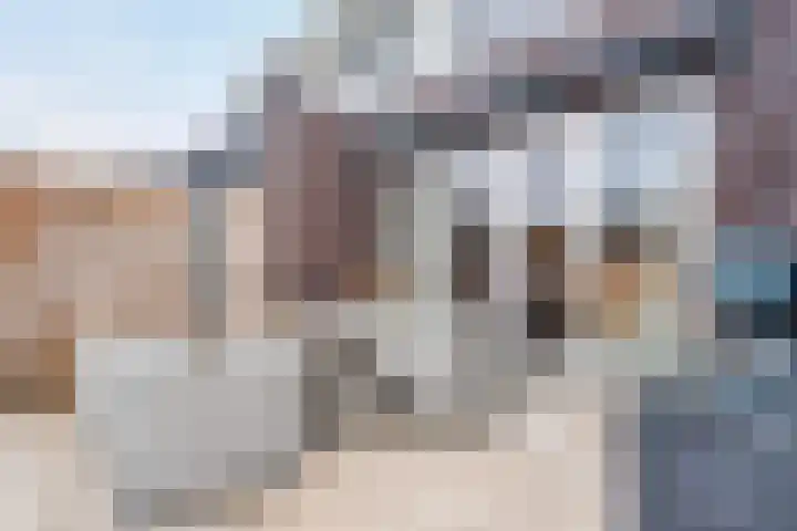 Schoonrijder 44 Sappemeer thumbnail 43