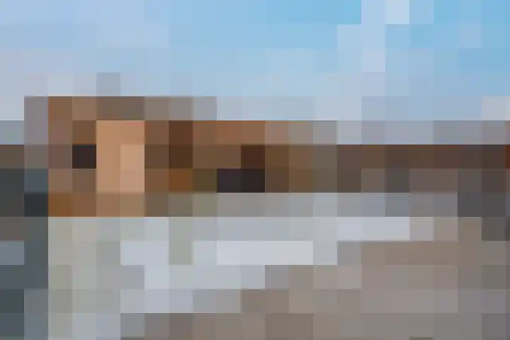 Schoonrijder 44 Sappemeer thumbnail 44